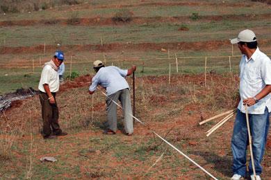 Mojani Site